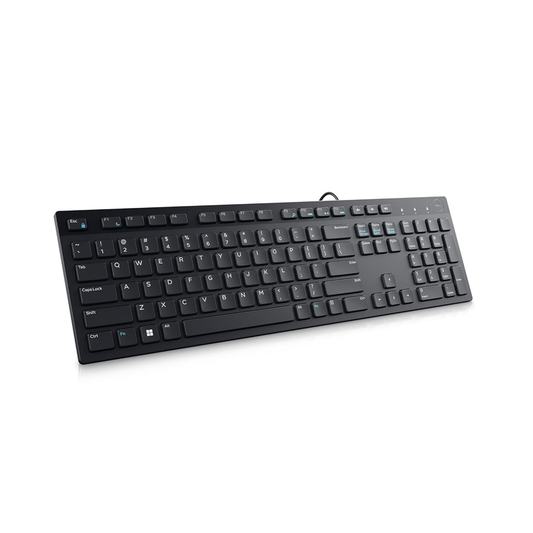 Dell KB216 Wired Multimedia Keyboard| Black| 44.17 x 12.73 x 2.44 cm Dimension| 3 year warranty