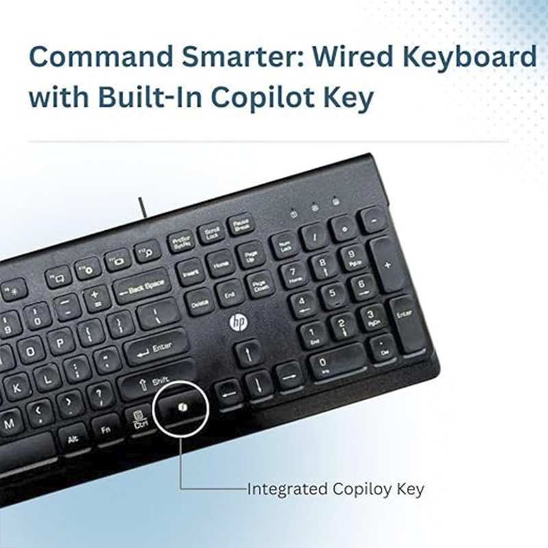 HP 115 Wired Keyboard and Mouse Combo | Full-Size Ergonomic Keyboard | High-Precision Optical Mouse | USB Plug & Play Connectivity | Comfortable Typing & Smooth Navigation | Reliable Office Desktop Combo