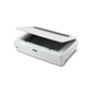 Epson Expression 13000XL A3 Flatbed Graphic Arts Scanner for Professional Photo | Film & Document Scanning – High Resolution CCD Color Scanner for Designers | Photographers | Architects & Archiving Solutions