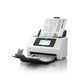 Epson DS-800WN EPIL Wireless A4 Duplex Document Scanner with Wi-Fi | Ethernet & OCR Support – High-Speed Office Scanner for Business Documents | Receipts & ID Cards