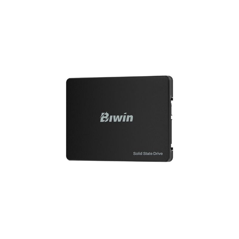 Biwin M100 256 GB 2.5″ SATA III Internal SSD – Compact 2.5″ SATA Storage, Fast Boot / OS Drive Upgrade